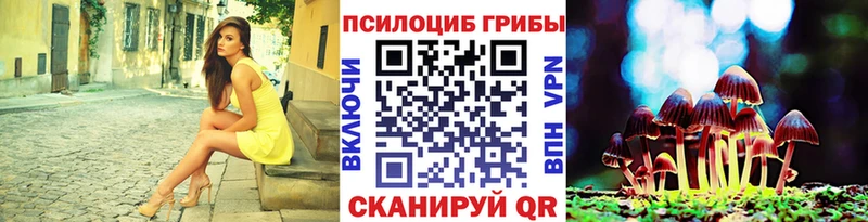 Галлюциногенные грибы прущие грибы  Вязники 