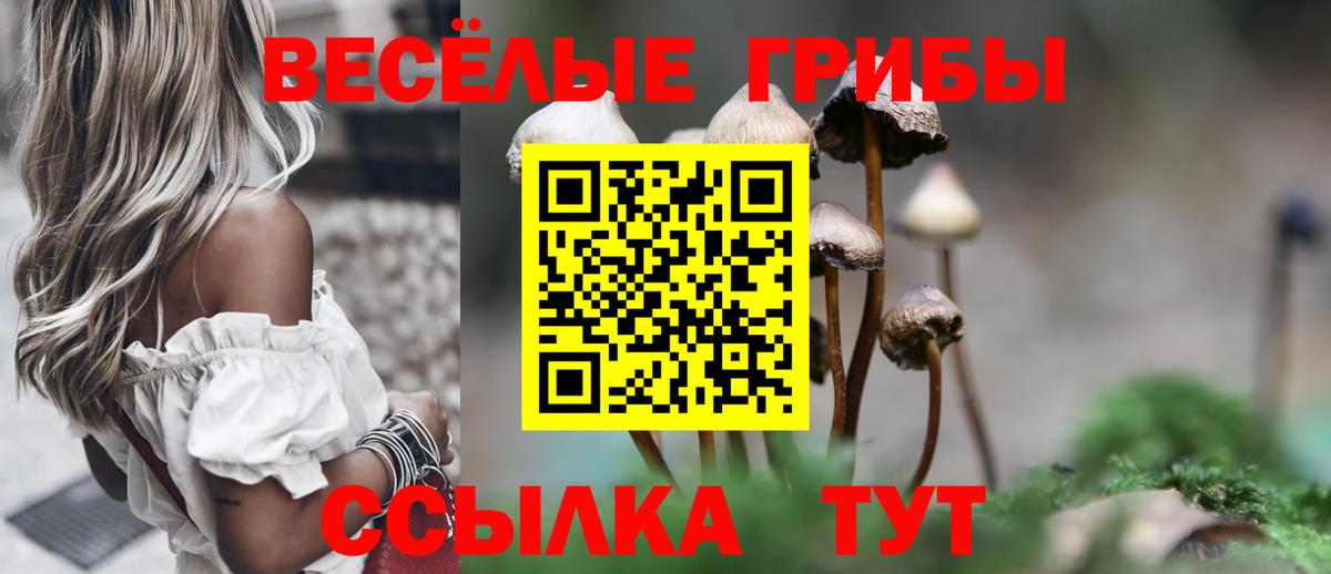 Псилоцибиновые грибы ЛСД Вязники