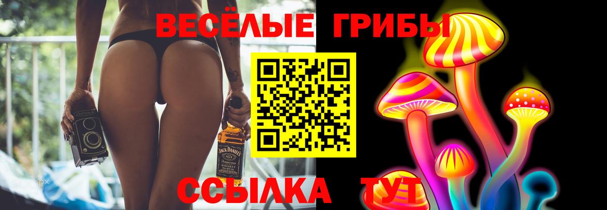 Псилоцибиновые грибы Psilocybe  Галлюциногенные грибы GOLDEN TEACHER  Вход с VPN  Вязники 